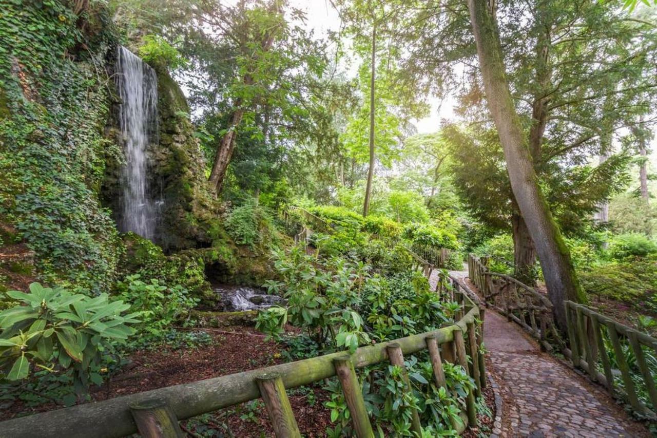 Calme Appart Renove Jardin Des Plantes Busca Tuluza Zewnętrze zdjęcie